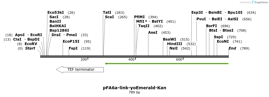 63907_map