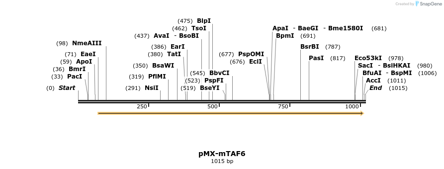 63913_map
