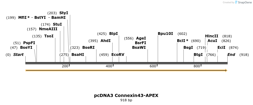 63919_map