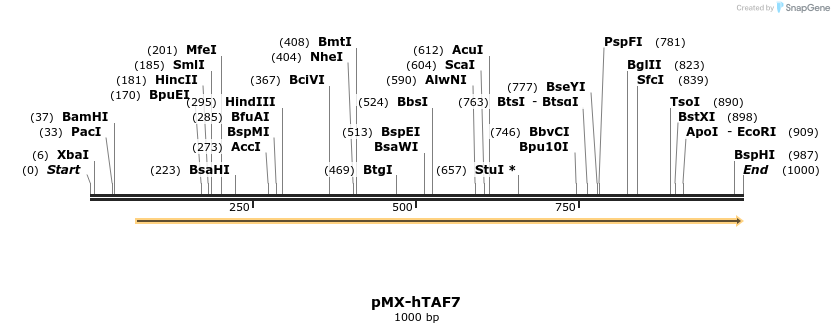 63923_map