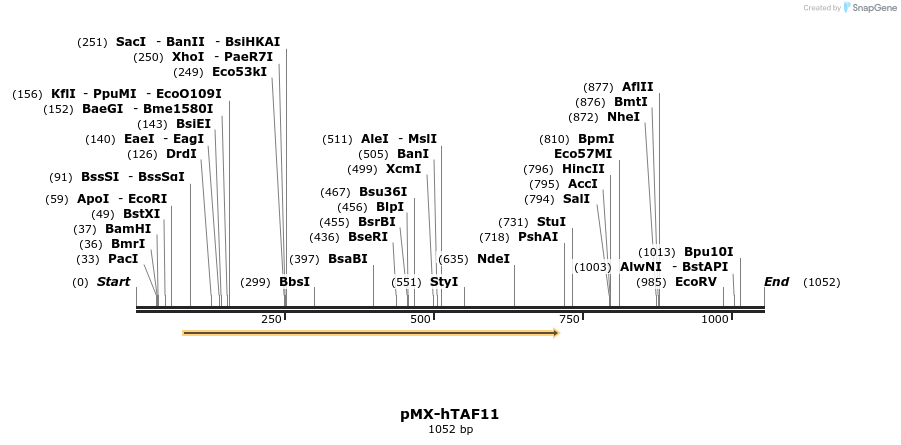63924_map