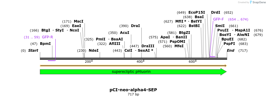 63926_map