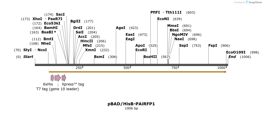 63941_map