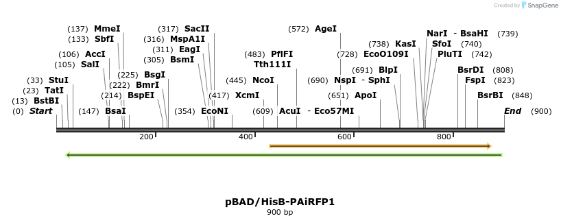 63942_map