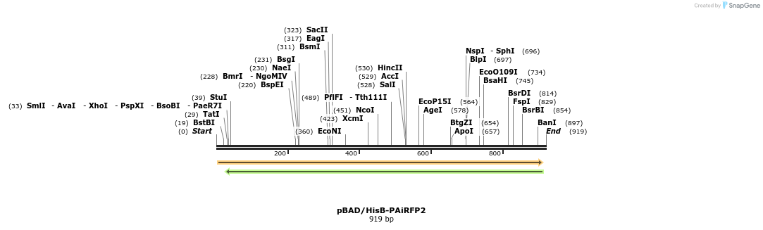 63944_map