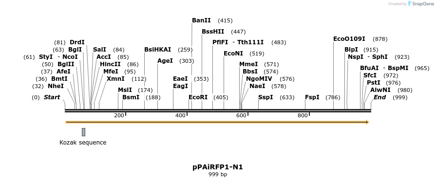 63945_map