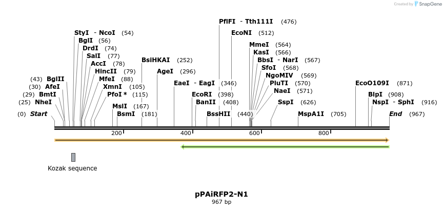 63948_map