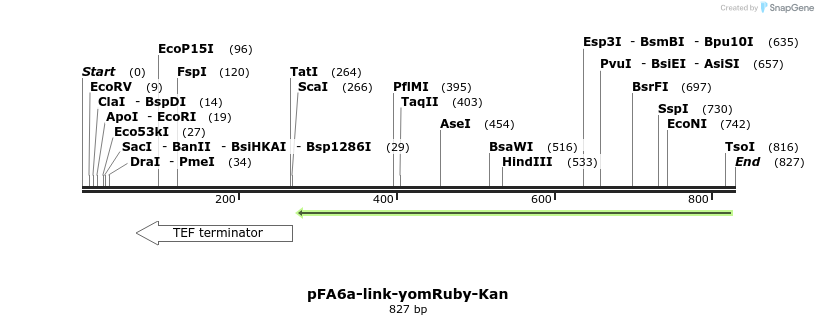 63959_map