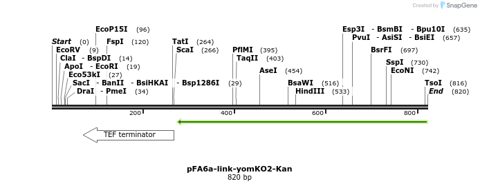 63960_map