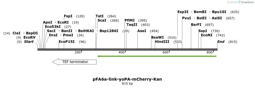 63967_map