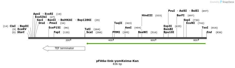 63977_map