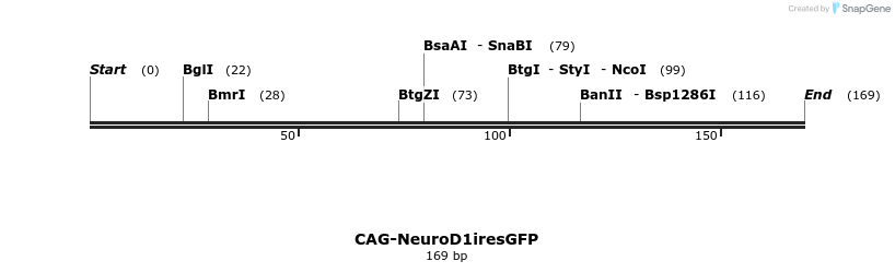 63980_map