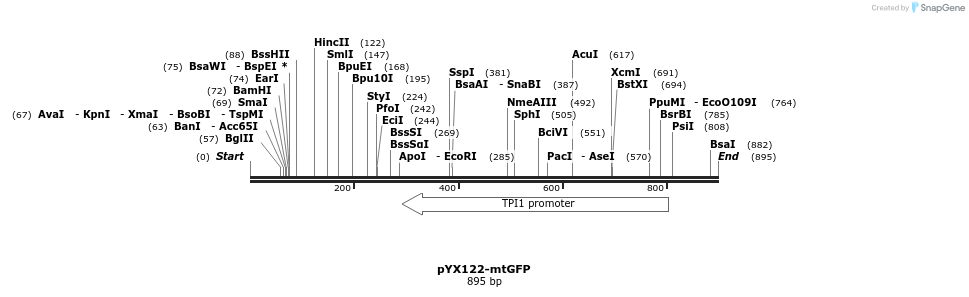 63983_map