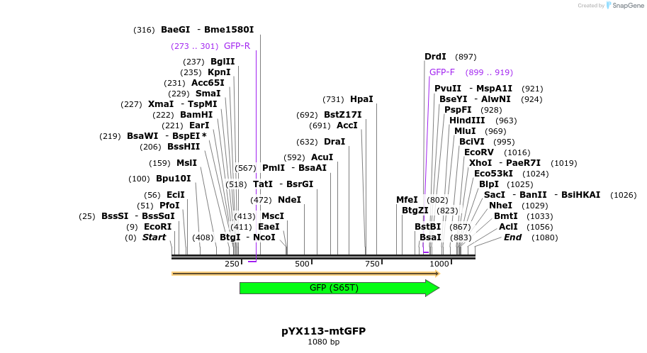 63987_map