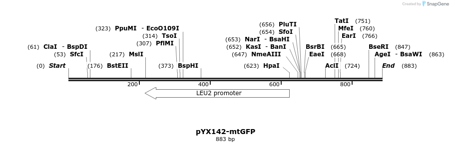 63988_map