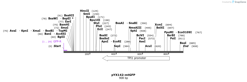 63990_map