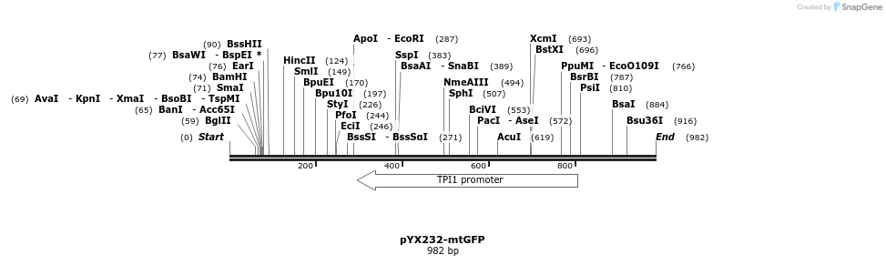 63994_map