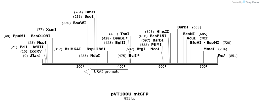 63996_map