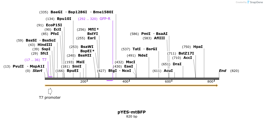 64005_map