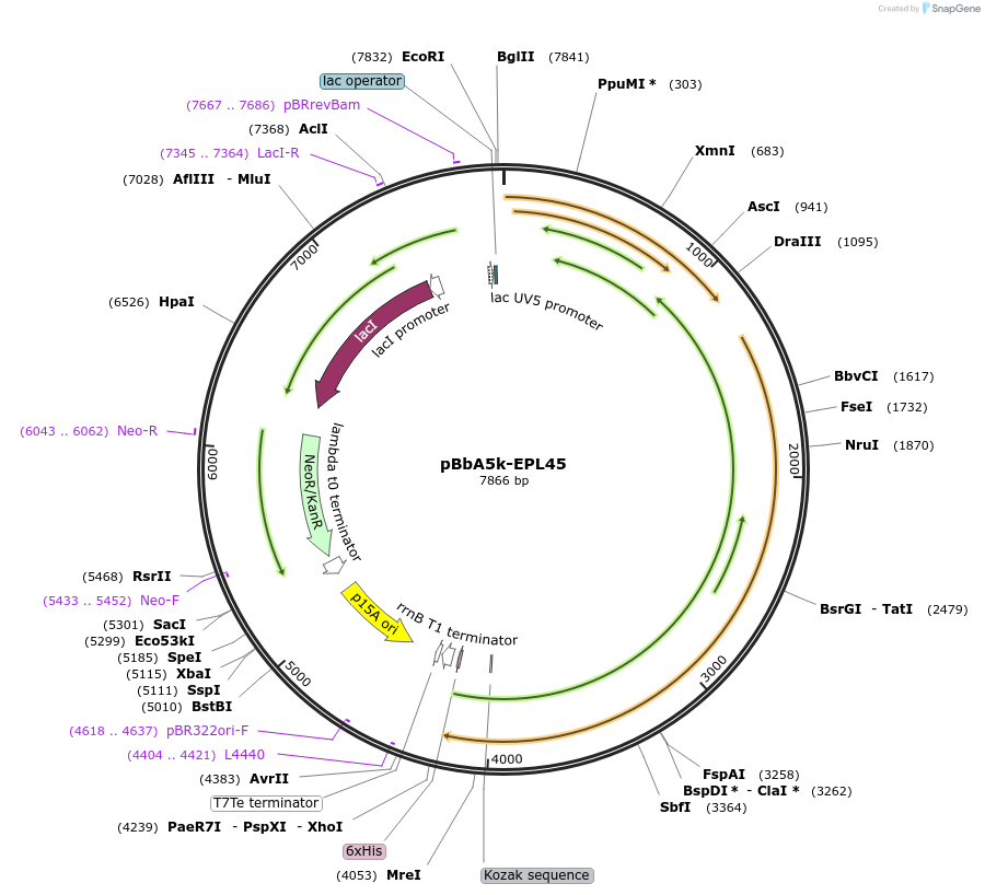 64012_map
