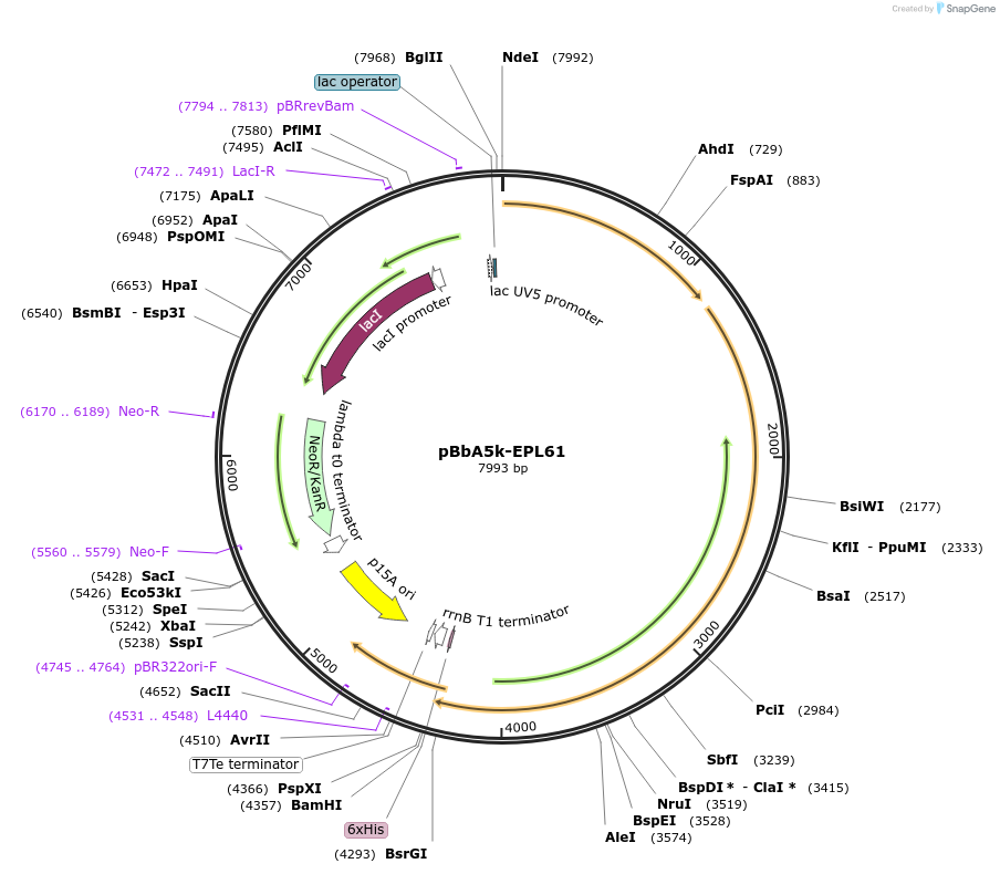 64020_map