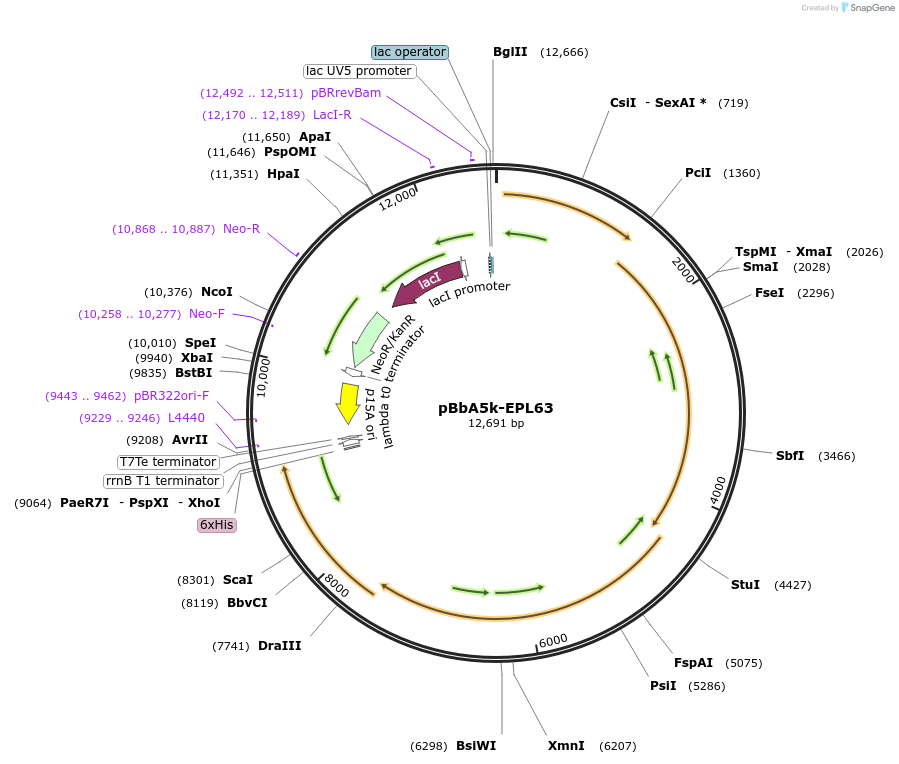 64021_map