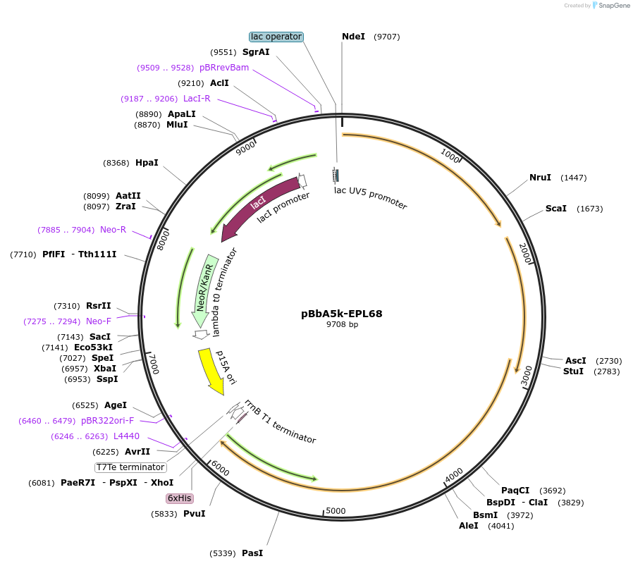 64026_map