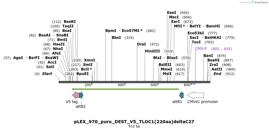 64035_map
