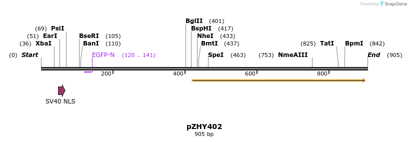 64036_map