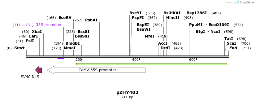64037_map