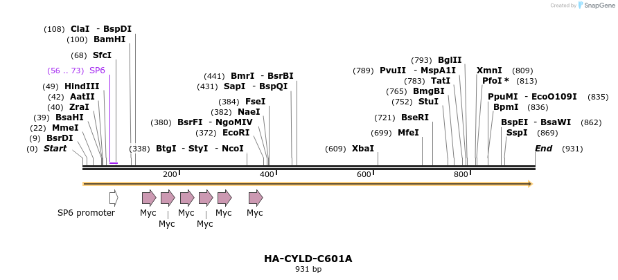 64067_map