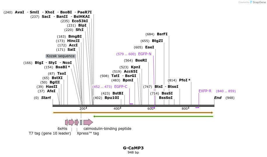 64069_map
