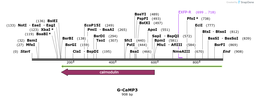 64070_map