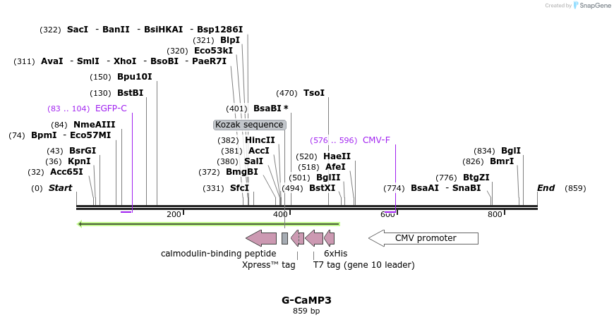 64071_map