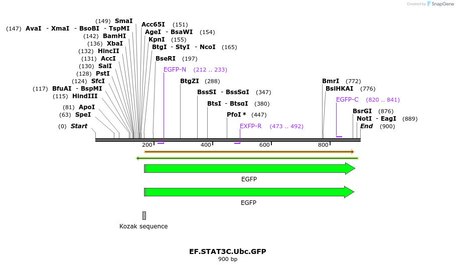 64072_map