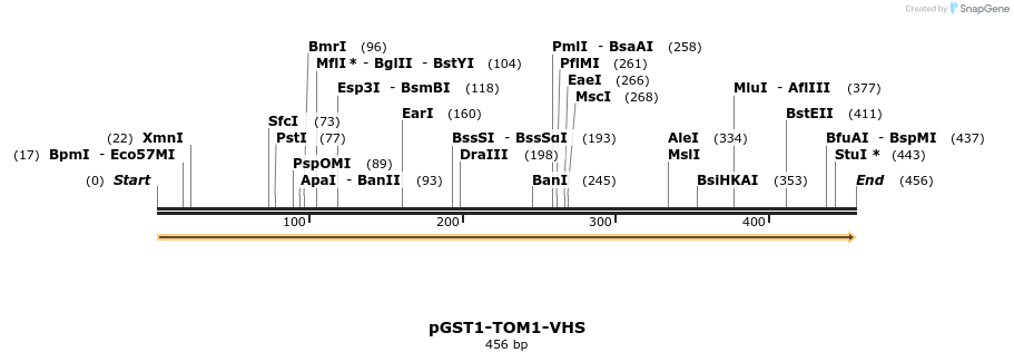 64073_map