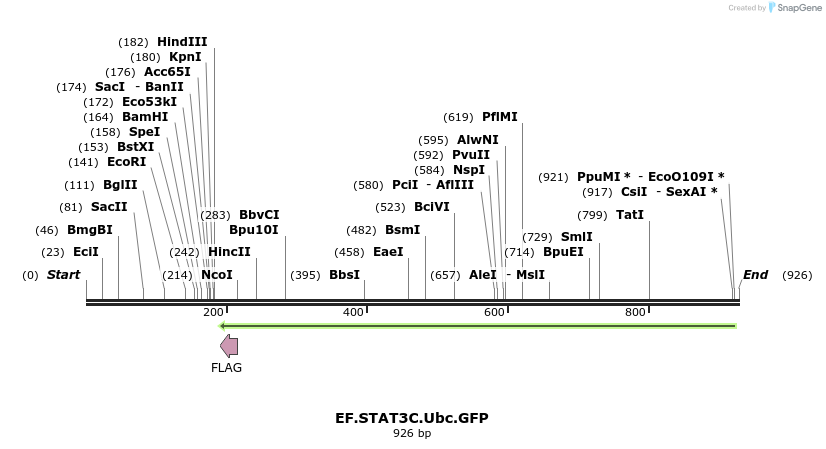 64074_map