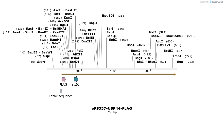 64080_map