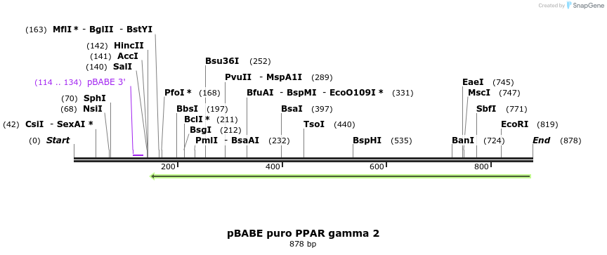 64083_map