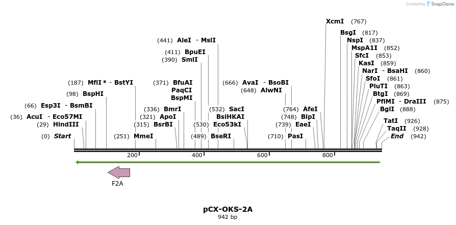 64088_map