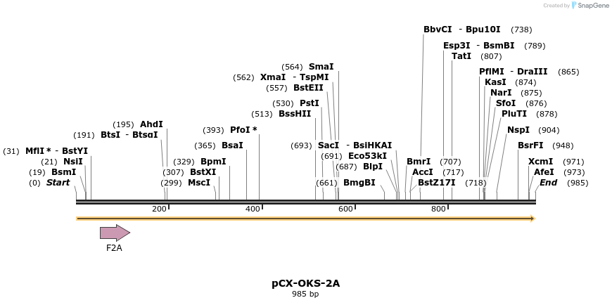 64089_map