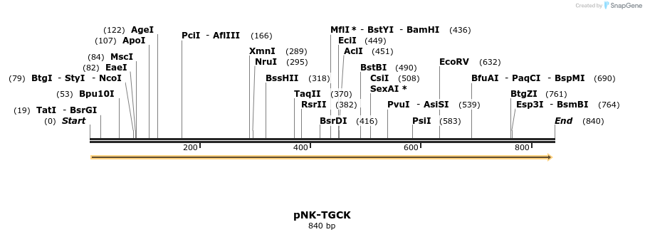 64091_map