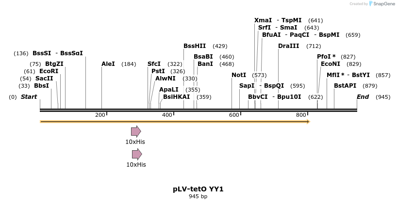 64093_map