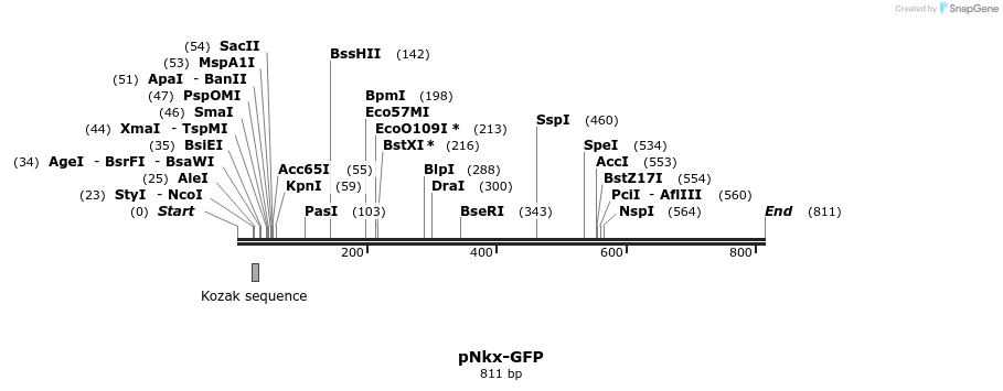 64094_map