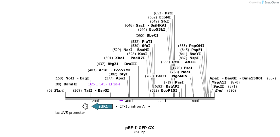 64096_map