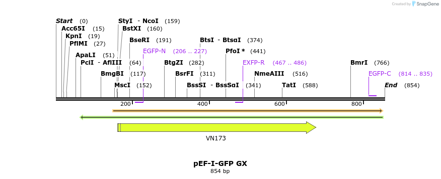 64097_map