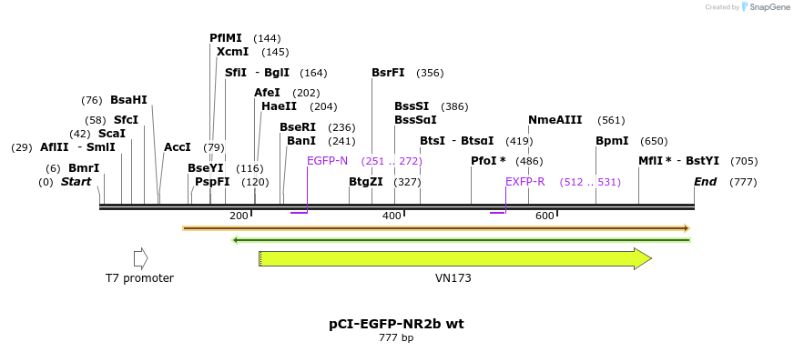 64101_map