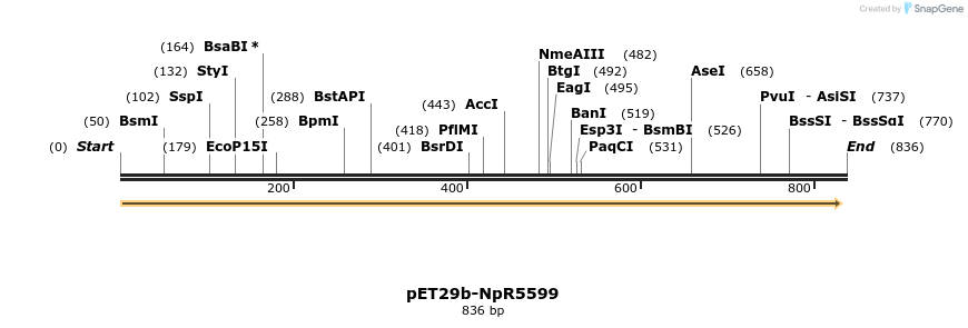 64102_map
