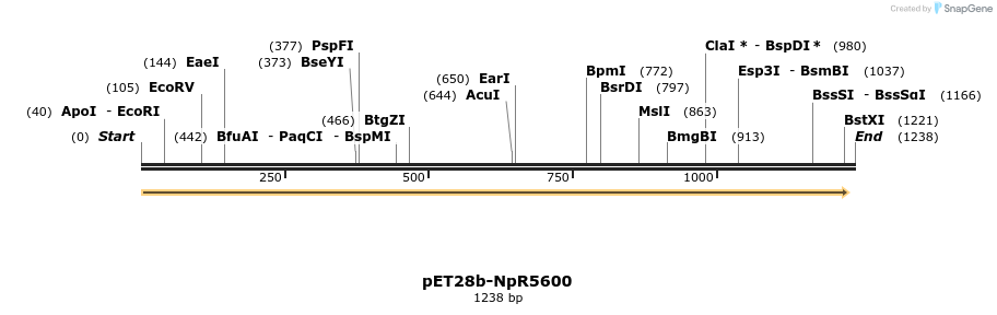 64103_map