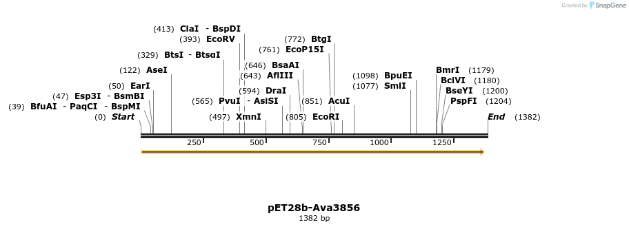 64104_map